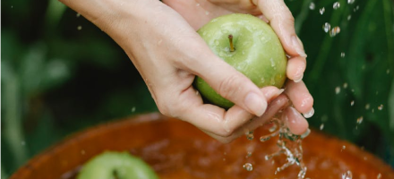 חידת המים: למה הם כה חשובים עבורנו?
